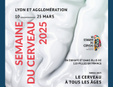 Semaine du Cerveau 2025 à Lyon : plongez au cœur des neurosciences !