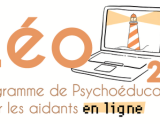 Léo 2.0 : un programme de psychoéducation en ligne pour les aidants en psychiatrie 